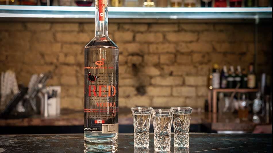 A bottle of vodka and three vodka shots.