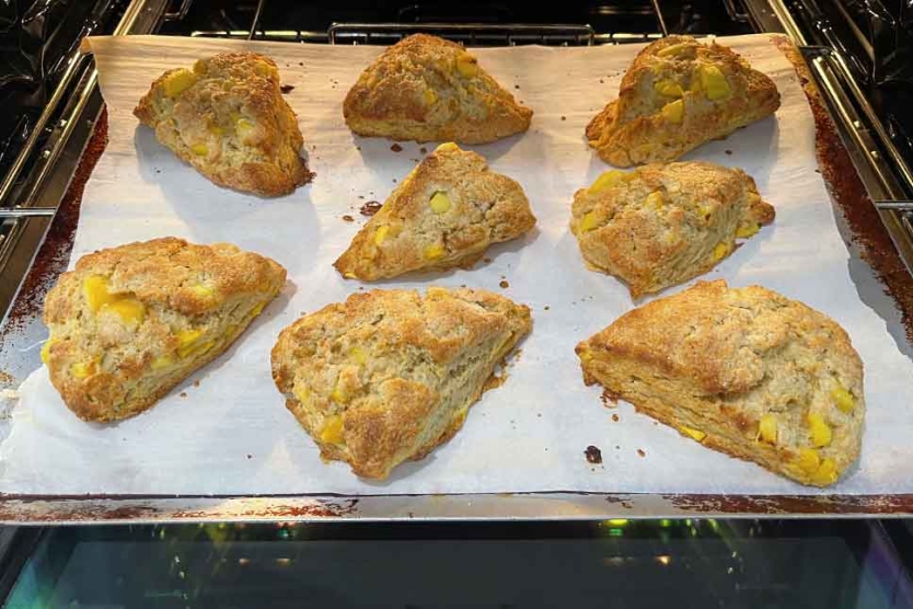 Vanilla peach scones hot from the oven.